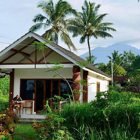 Rice Field Inn - Lombok Tetebatu Buitenkant foto