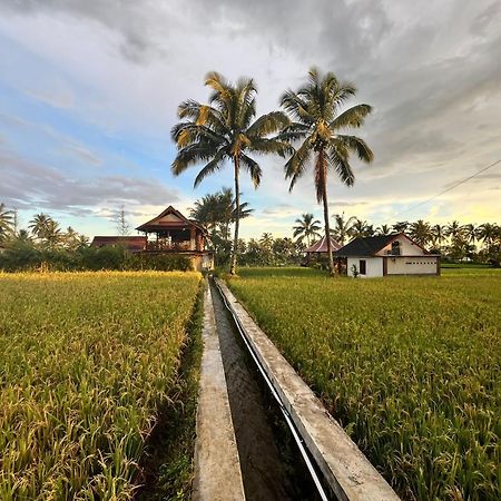 Rice Field Inn - Lombok Tetebatu Buitenkant foto