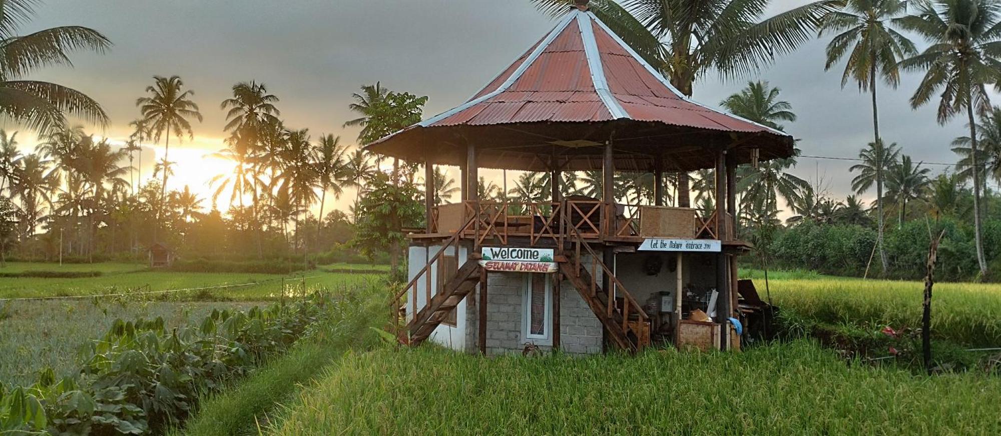 Rice Field Inn - Lombok Tetebatu Buitenkant foto
