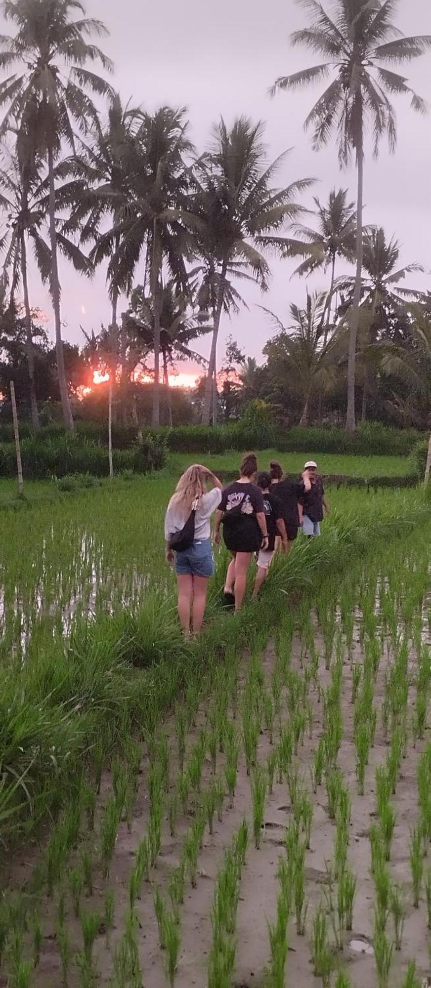 Rice Field Inn - Lombok Tetebatu Buitenkant foto