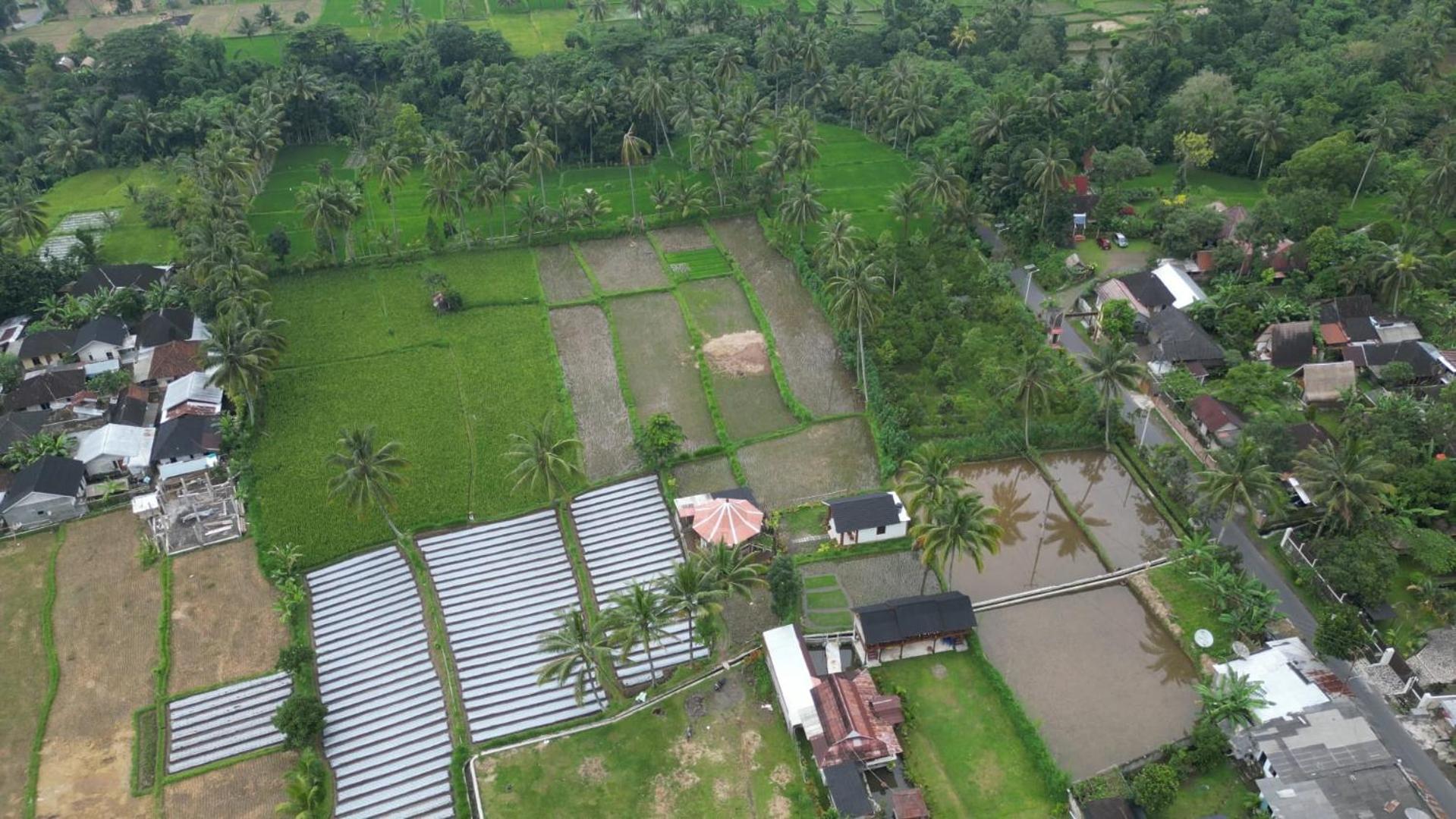 Rice Field Inn - Lombok Tetebatu Buitenkant foto