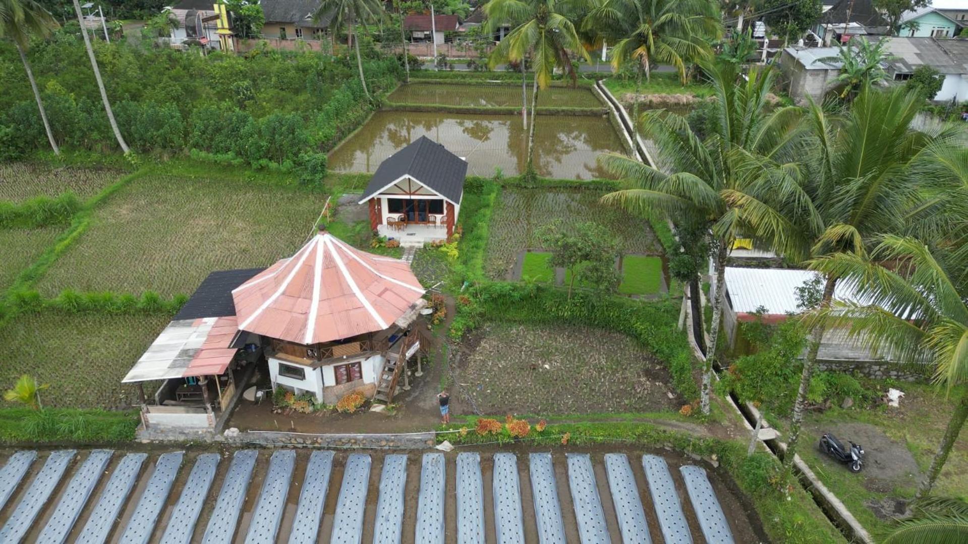 Rice Field Inn - Lombok Tetebatu Buitenkant foto