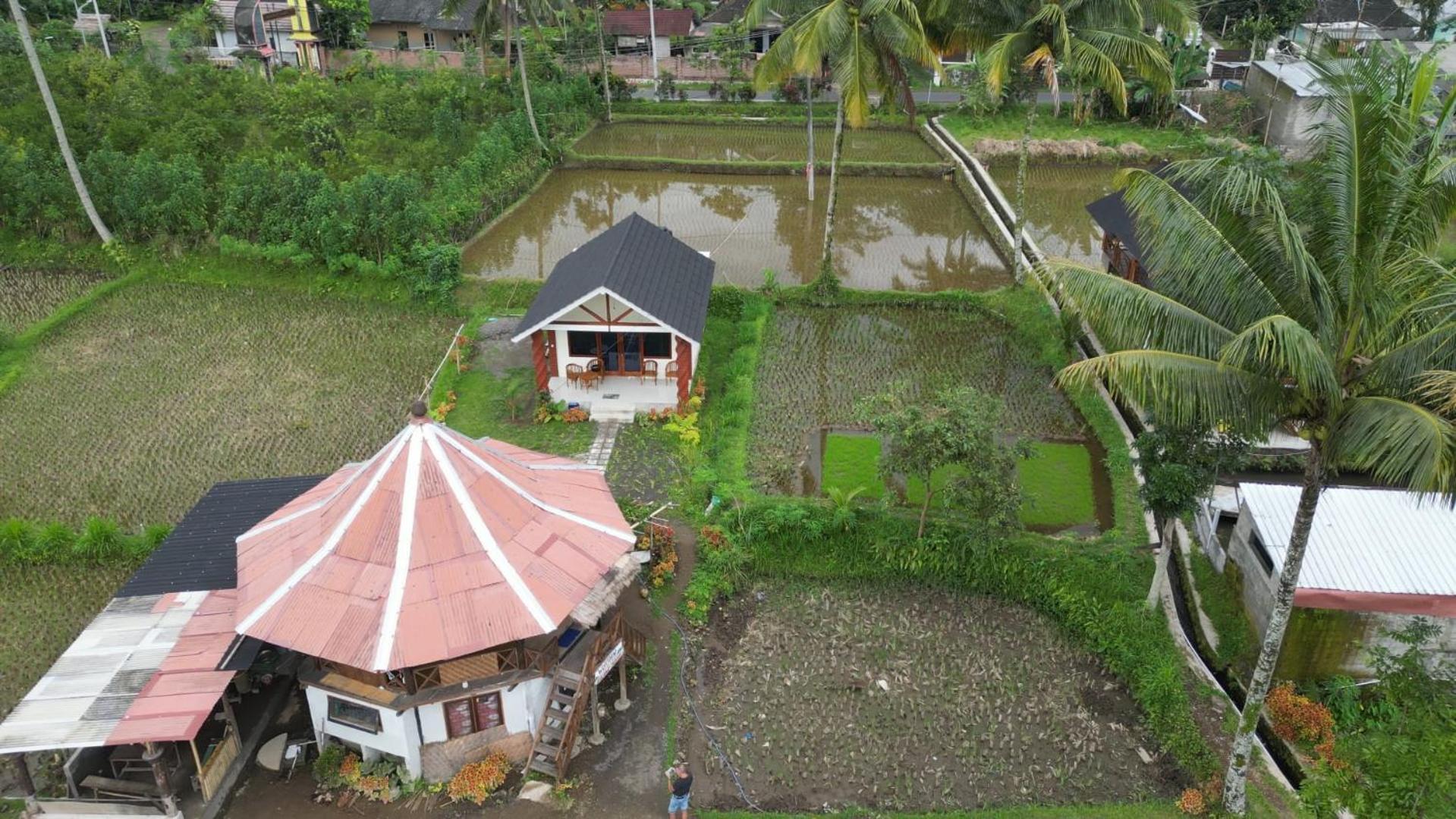Rice Field Inn - Lombok Tetebatu Buitenkant foto