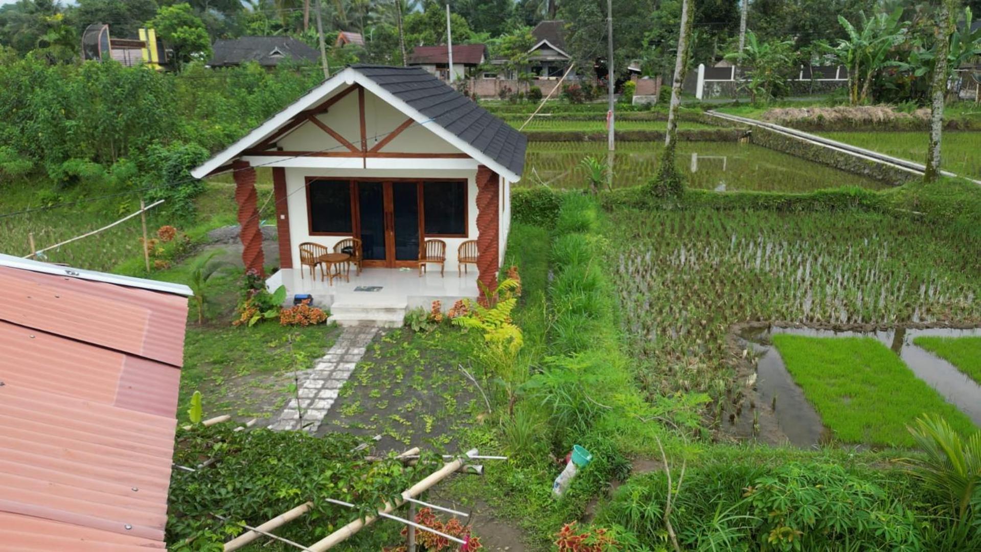 Rice Field Inn - Lombok Tetebatu Buitenkant foto