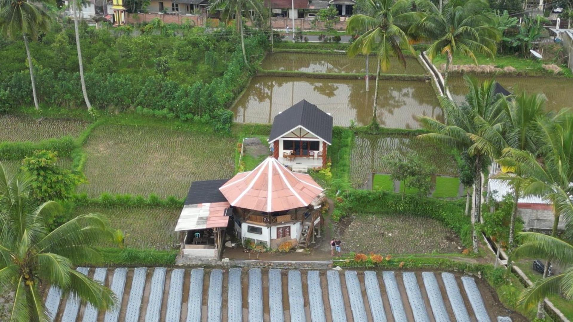 Rice Field Inn - Lombok Tetebatu Buitenkant foto