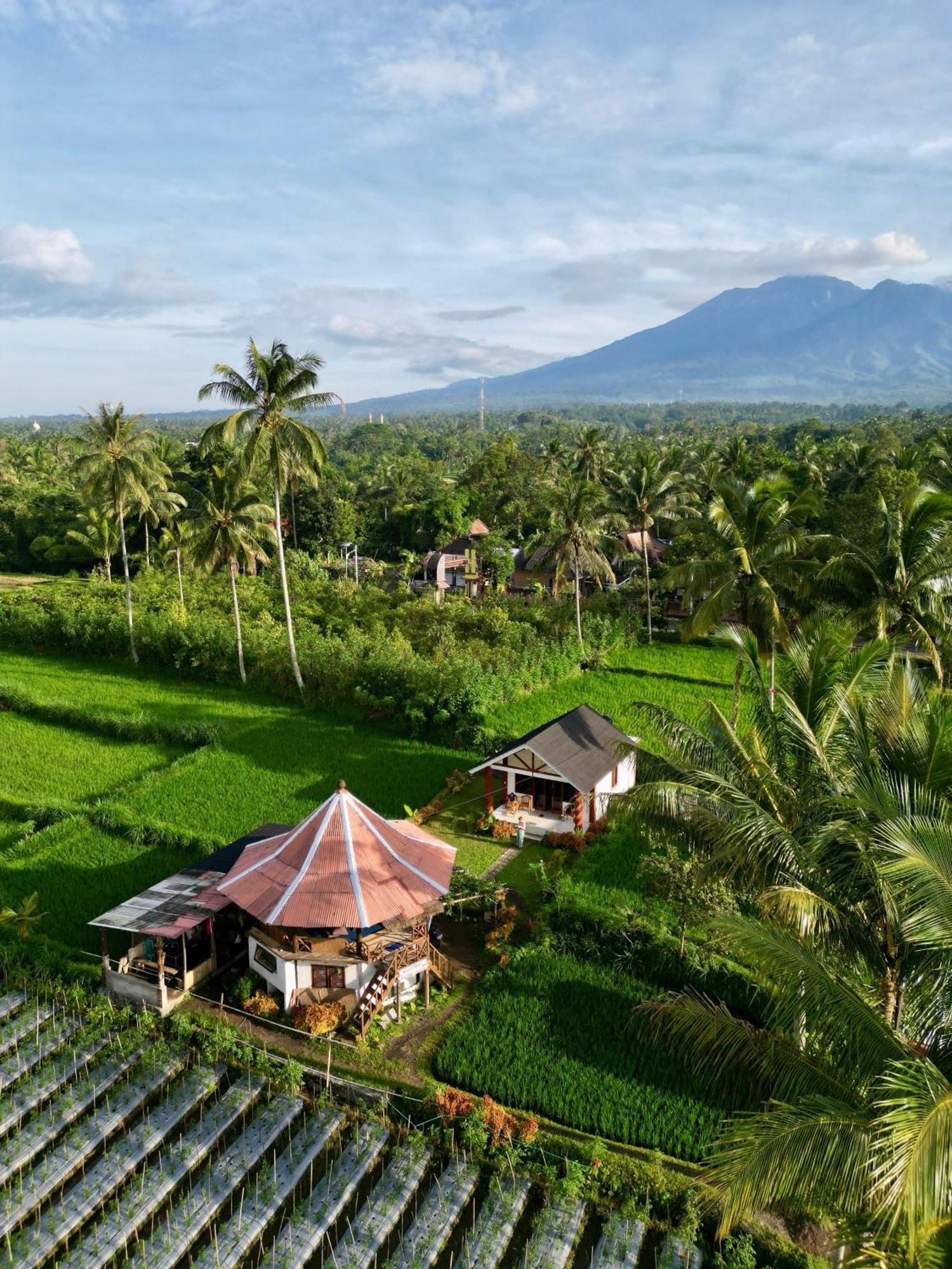 Rice Field Inn - Lombok Tetebatu Buitenkant foto